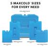 imageIgloo Maxcold Ice Blocks Long Lasting Cold Freezer Ice Packs2pk Small