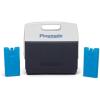 imageIgloo Maxcold Ice Blocks Long Lasting Cold Freezer Ice PacksMedium