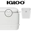 imageIgloo Universal Plastic Latch Closure White