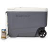 imageIgloo Iceless Thermoelectric Cooler Portable Cooler Electric Plugin 12V Camping Fridge Cooler Electric Ice Chest Hielera Electrica35Qt