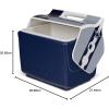 imageIgloo Limited Edition NFL 7 Qt Little Playmate CoolerCowboys