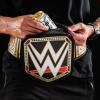 imageIgloo WWE Championship Fanny Pack