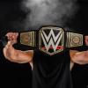 imageIgloo WWE Championship Fanny Pack