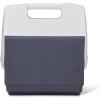 imageIgloo Classic Playmate CoolersCarbonite