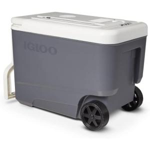 imageIgloo Iceless Thermoelectric Cooler Portable Cooler Electric Plugin 12V Camping Fridge Cooler Electric Ice Chest Hielera Electrica35Qt
