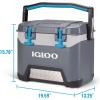 imageIgloo BMX Hard Coolers 2572QTGray and Blue