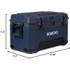 imageIgloo BMX Hard Coolers 2572QTRugged Blue
