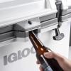 imageIgloo IMX Hard CoolersWhite