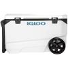 imageIgloo Coolers Marine Series Insulated Portable Hard Side Cooler Ice Chest Great for Fishing Camping Boating ampamp More90 QT