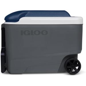 imageIgloo Coolers Maxcold Series Insulated Portable Cooler Hard Coolers LeakProof Ice Chest 5 Day Ice Retention40QT