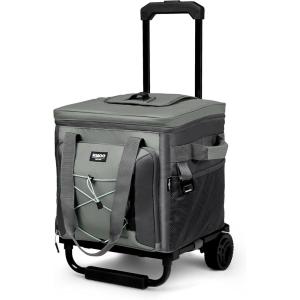 imageIgloo EcoFriendly 40Can Camping Collapsible Roller Cooler  Gray