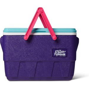 imageIgloo RetroPurple